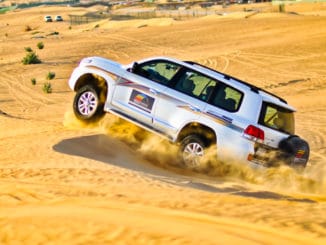 Dubai Safari